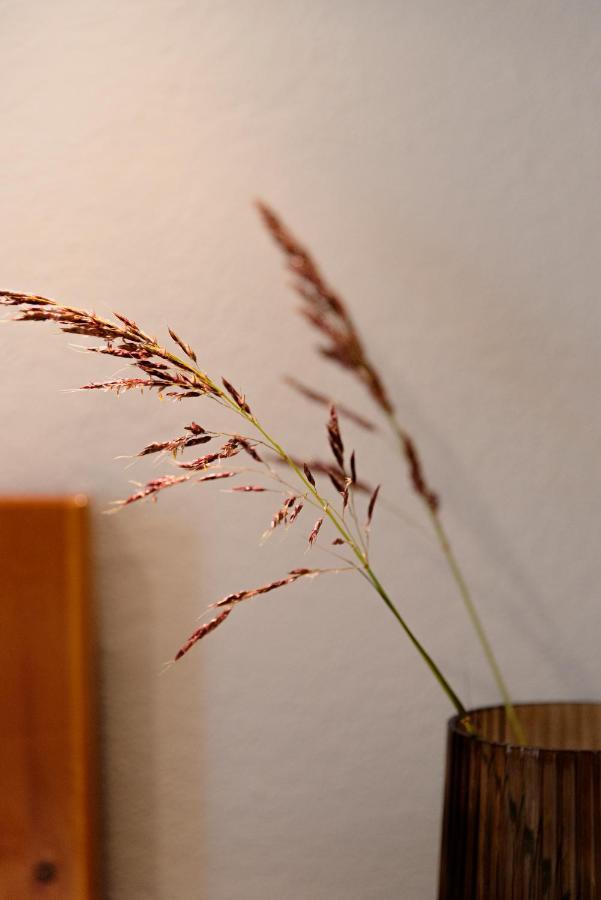 Apartamento Kamini Kávos